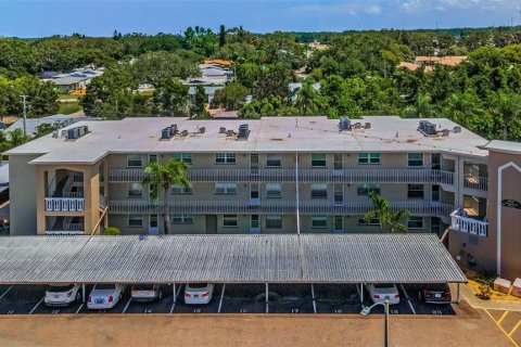 Condo in Dunedin, Florida, 2 bedrooms  № 1775102 - photo 18