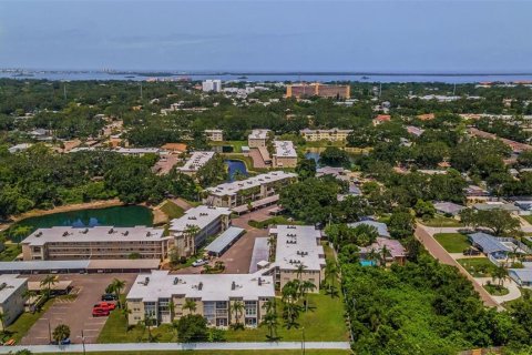 Condo in Dunedin, Florida, 2 bedrooms  № 1775102 - photo 17