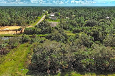 Terreno en venta en Lehigh Acres, Florida № 2164298 - foto 4
