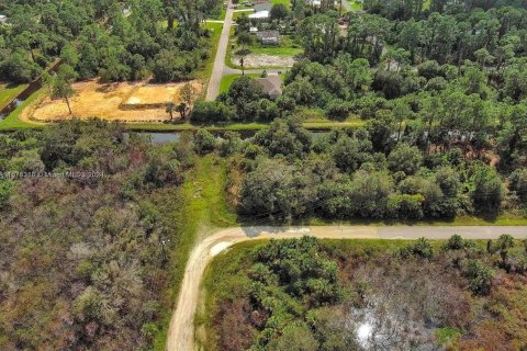 Terreno en venta en Lehigh Acres, Florida № 2164298 - foto 3