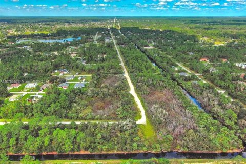 Terreno en venta en Lehigh Acres, Florida № 2164298 - foto 12