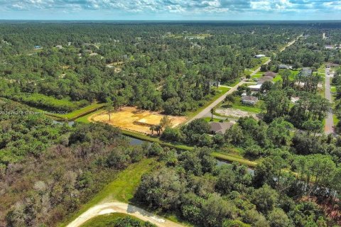 Terreno en Lehigh Acres, Florida № 2164298