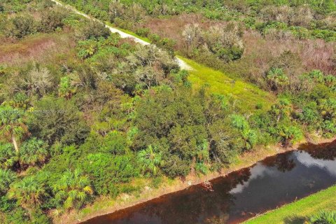 Terreno en venta en Lehigh Acres, Florida № 2164298 - foto 8