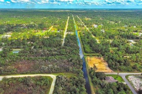 Terreno en venta en Lehigh Acres, Florida № 2164298 - foto 13