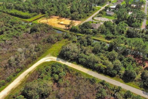 Terreno en venta en Lehigh Acres, Florida № 2164298 - foto 5