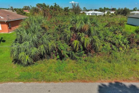 Terreno en venta en Lehigh Acres, Florida № 2164298 - foto 16