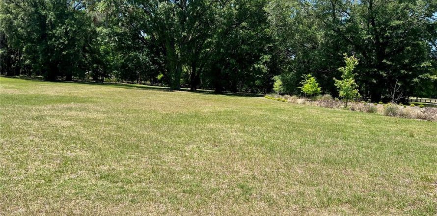 Terrain à Gainesville, Floride № 1722033