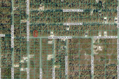 Land in Dunnellon, Florida № 2165418 - photo 3