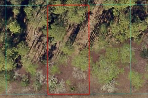 Land in Dunnellon, Florida № 2165418
