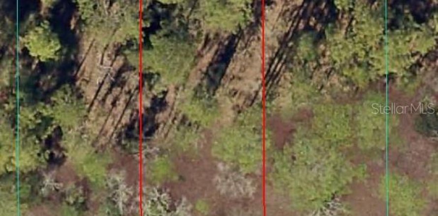 Land in Dunnellon, Florida № 2165418