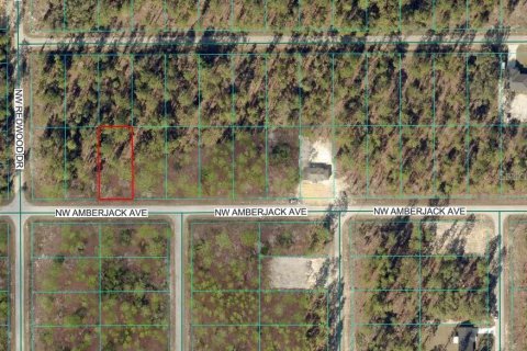 Land in Dunnellon, Florida № 2165418 - photo 2