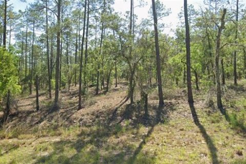 Terrain à vendre à Dunnellon, Floride № 2150587 - photo 3