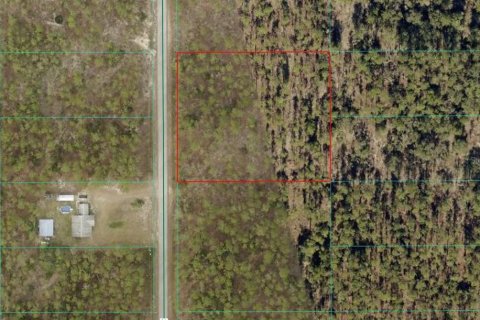 Terrain à Dunnellon, Floride № 2150587