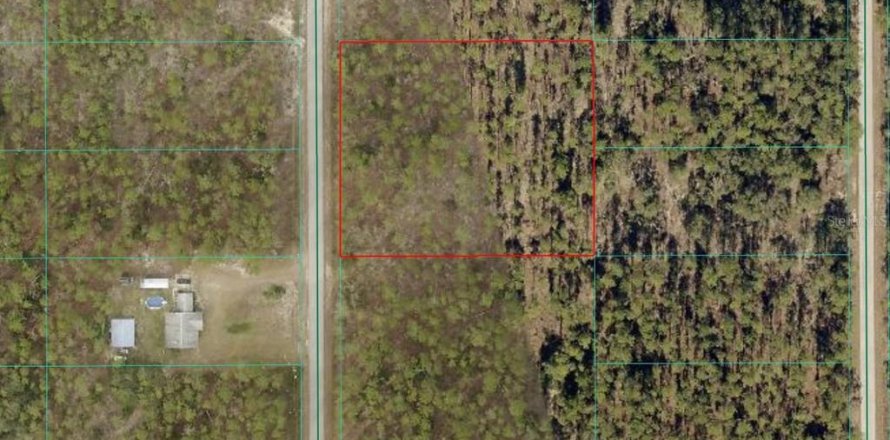 Terrain à Dunnellon, Floride № 2150587