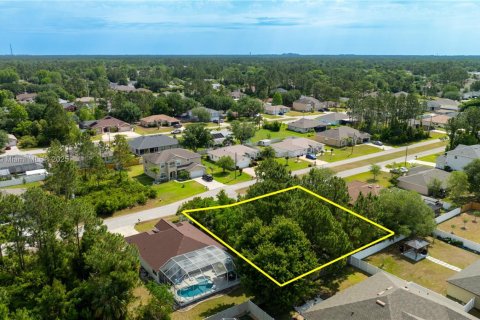 Terreno en venta en Palm Coast, Florida № 1862371 - foto 4