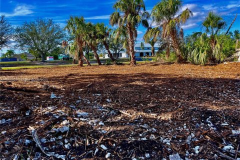 Terreno en venta en Punta Gorda, Florida № 1978937 - foto 3