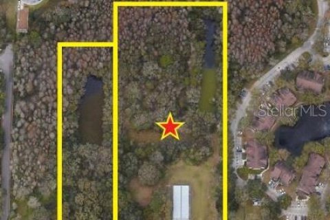 Land in Tampa, Florida № 1805238 - photo 1