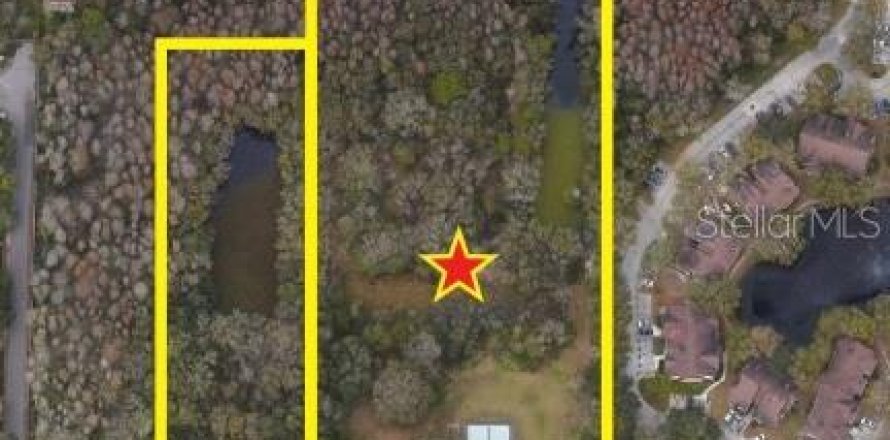 Land in Tampa, Florida № 1805238