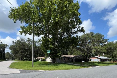 Casa en venta en Inverness, Florida, 3 dormitorios, 130.71 m2 № 2155940 - foto 21