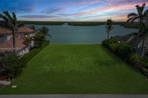 Land in Marco Island, Florida № 1860950 - photo 13