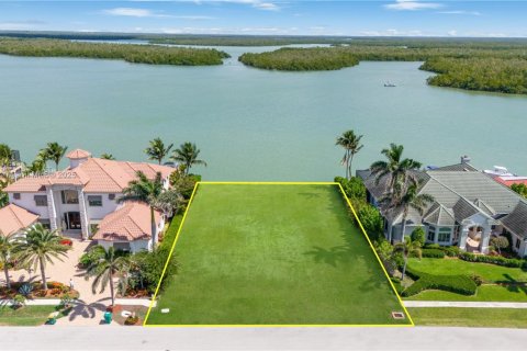 Land in Marco Island, Florida № 1860950 - photo 2