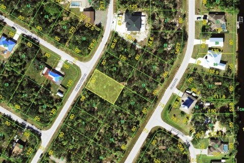 Land in Port Charlotte, Florida № 2235231 - photo 2