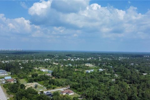 Land in Lehigh Acres, Florida № 1185289 - photo 1
