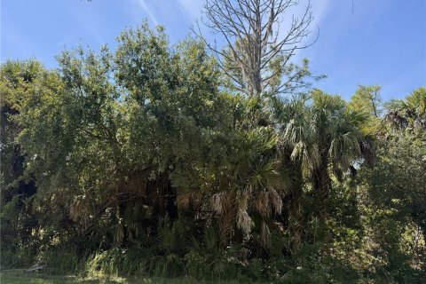 Land in North Port, Florida № 2393421