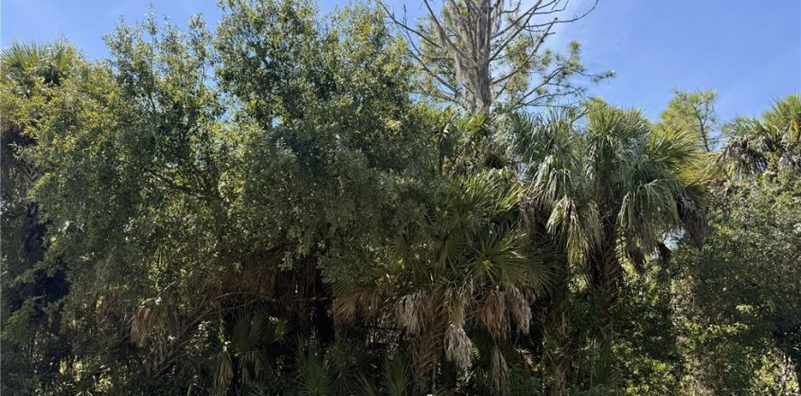 Land in North Port, Florida № 2393421