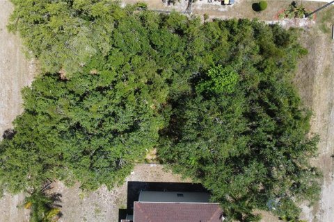 Land in Kissimmee, Florida № 1735215 - photo 3