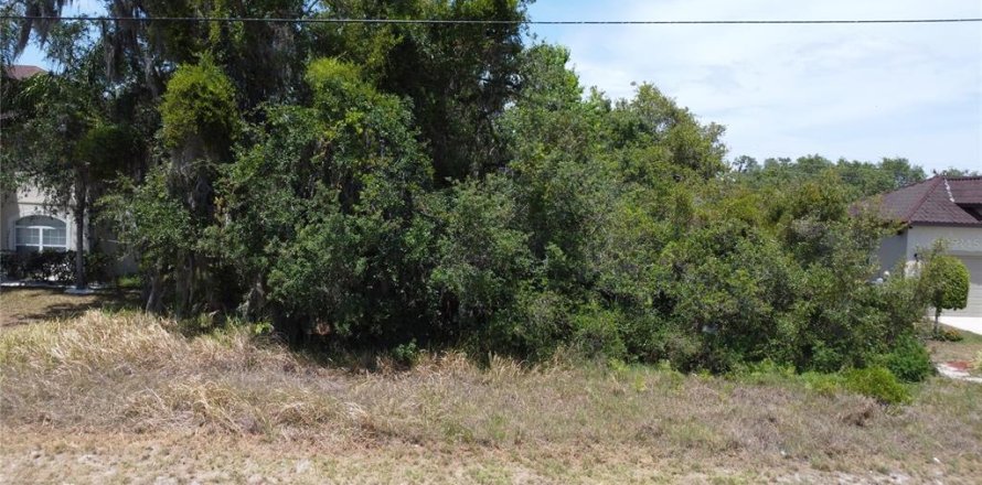 Land in Kissimmee, Florida № 1735215