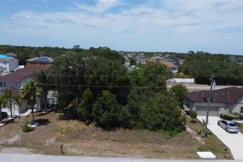 Land in Kissimmee, Florida № 1735215 - photo 2