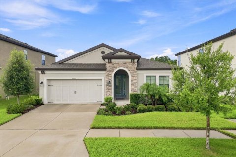 Villa ou maison à Fish Hawk, Floride 3 chambres, 195.65 m2 № 2318455