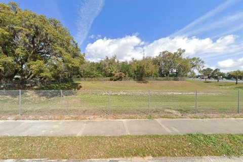 Terrain à Leesburg, Floride № 2216073