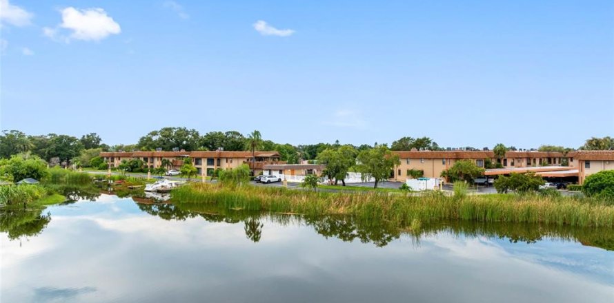 Condo in Largo, Florida, 2 bedrooms  № 1900231