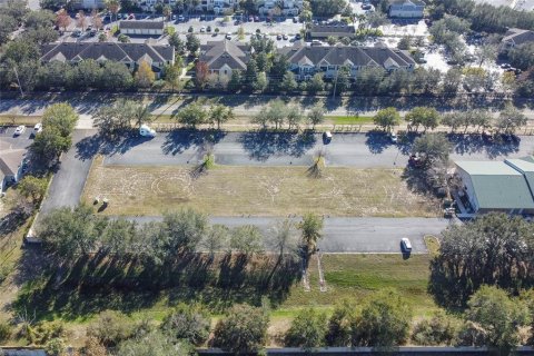 Terrain à vendre à Mount Dora, Floride № 1785631 - photo 5