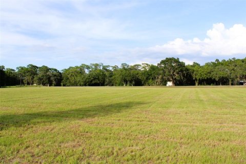 Land in Altoona, Florida № 1792828 - photo 19