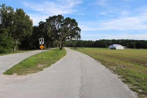 Land in Altoona, Florida № 1792828 - photo 8