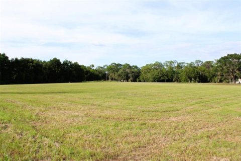 Land in Altoona, Florida № 1792828 - photo 16