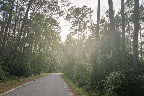 Land in Altoona, Florida № 1792828 - photo 24