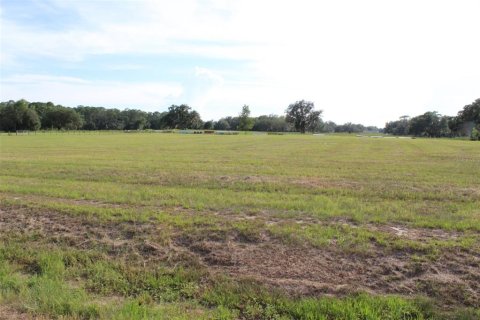 Land in Altoona, Florida № 1792828 - photo 2