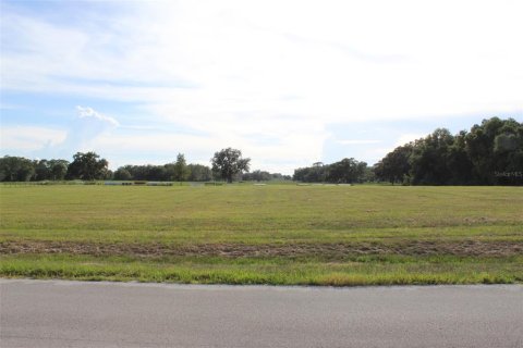 Land in Altoona, Florida № 1792828 - photo 4