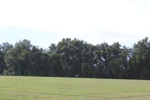 Land in Altoona, Florida № 1792828 - photo 13