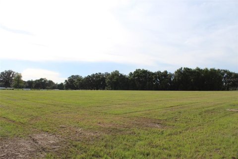 Land in Altoona, Florida № 1792828 - photo 12