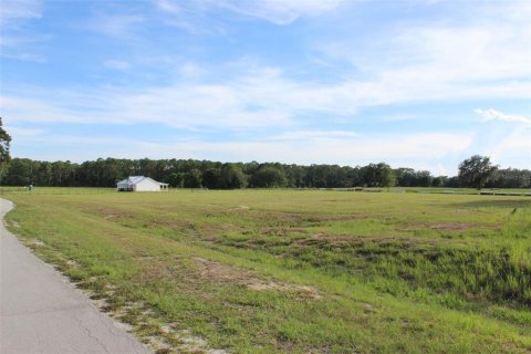 Land in Altoona, Florida № 1792828 - photo 7