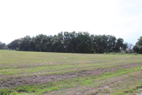 Land in Altoona, Florida № 1792828 - photo 3