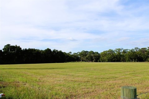 Land in Altoona, Florida № 1792828 - photo 18