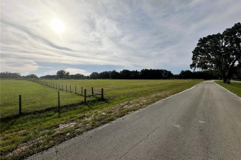 Land in Altoona, Florida № 1792828 - photo 23