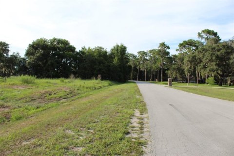 Land in Altoona, Florida № 1792828 - photo 9