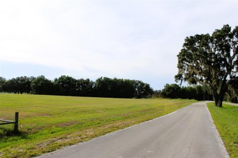 Land in Altoona, Florida № 1792828 - photo 10